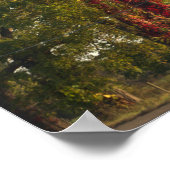 Bäume mit Red Ivy Poster (Ecke)