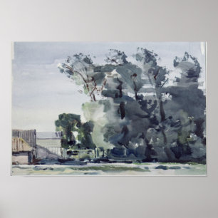 Bäume - Morgengrauen Poster