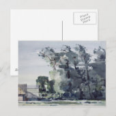 Bäume - Morgengrauen Postkarte (Vorne/Hinten)