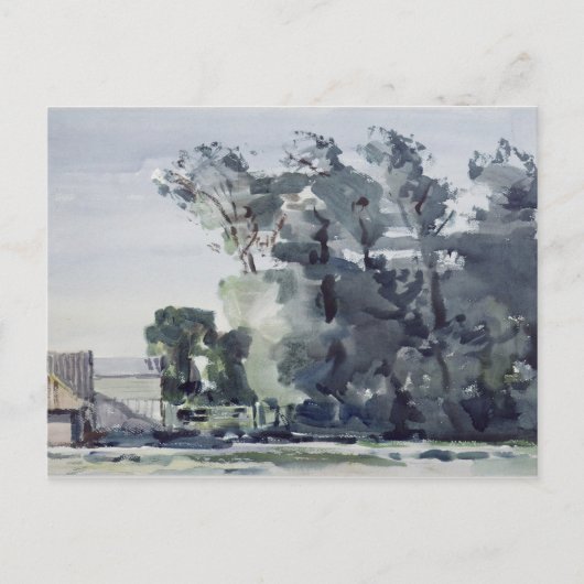 Bäume - Morgengrauen Postkarte (Vorderseite)