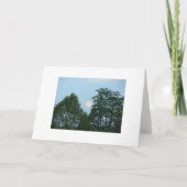 Bäume, motivierend Zitat Karte (Vorderseite)