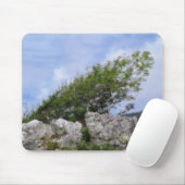 BÄUME MOUSEPAD (Mit Mouse)