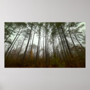 Bäume & Nebel, Poster