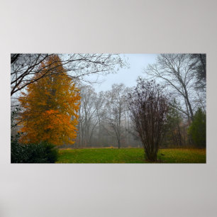 Bäume & Nebel, Poster