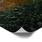 Bäume & Nebel, Poster (Ecke)