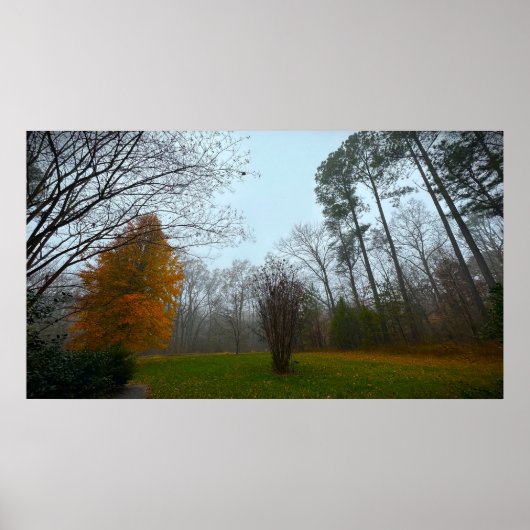 Bäume & Nebel, Poster (Vorne)