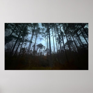 Bäume & Nebel, Poster