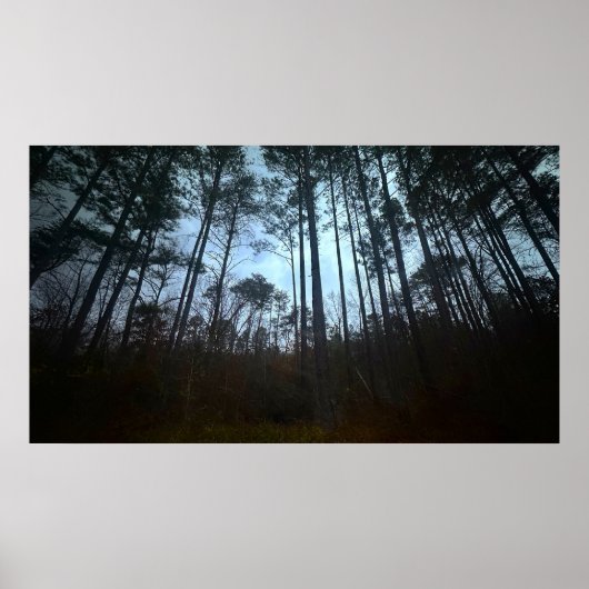 Bäume & Nebel, Poster (Vorne)