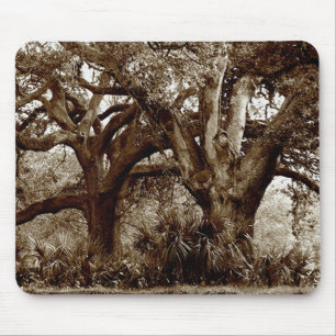 Bäume New Orleans Live Oak Mousepad