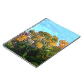 BÄUME NOTIZBLOCK (Linke Seite)