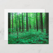 "Bäume!"Notizkarte Einladung (Vorne/Hinten)