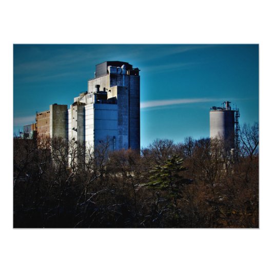 "Bäume: Nur für begrenzte Zeit" Fotodruck (Vorne)