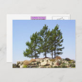 Bäume oben postkarte (Vorne/Hinten)