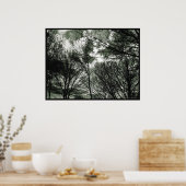 Bäume | Poster (Küche)