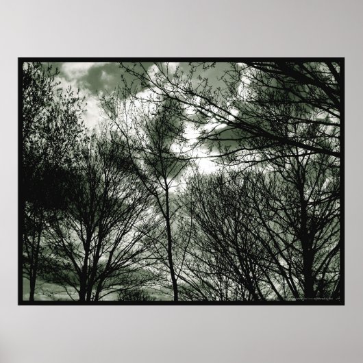 Bäume | Poster (Vorne)