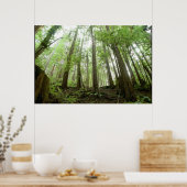 Bäume Poster (Küche)