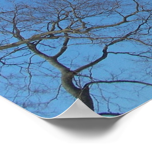 Bäume Poster (Ecke)