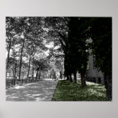 Bäume Poster (Vorne)