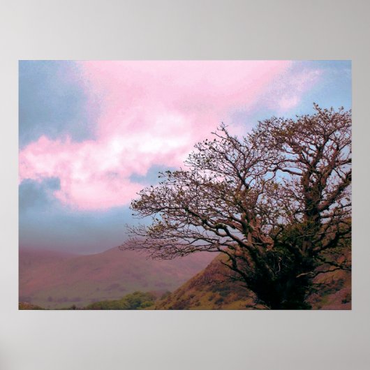 BÄUME POSTER (Vorne)