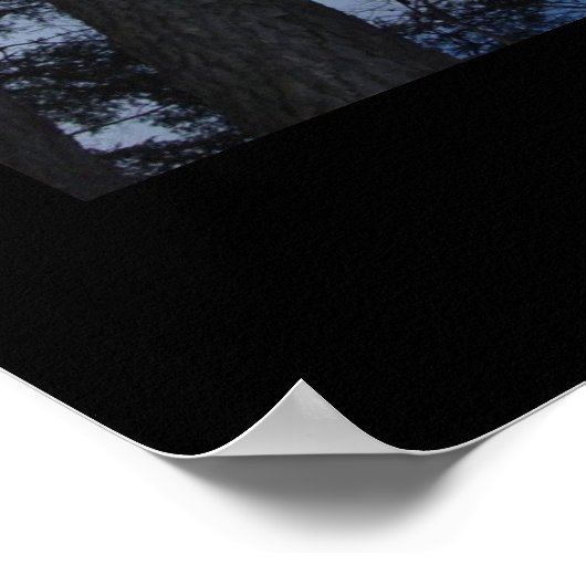 Bäume Poster (Ecke)