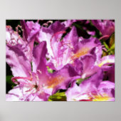 BÄUME POSTER (Vorne)