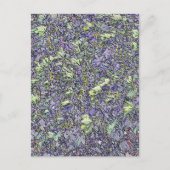 BÄUME POSTKARTE (Vorderseite)