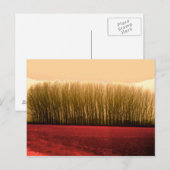 Bäume Postkarte (Vorne/Hinten)