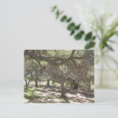 Bäume - Postkarte (Stehend Vorderseite)