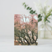 BÄUME POSTKARTE (Stehend Vorderseite)