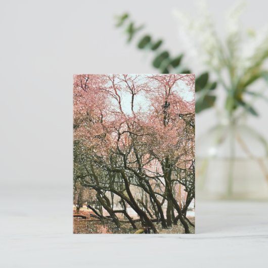 BÄUME POSTKARTE (Stehend Vorderseite)