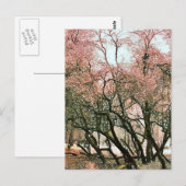 BÄUME POSTKARTE (Vorne/Hinten)