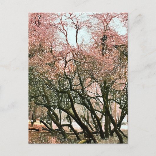 BÄUME POSTKARTE (Vorderseite)