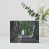 Bäume postkarte (Stehend Vorderseite)