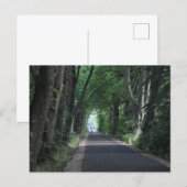 Bäume postkarte (Vorne/Hinten)