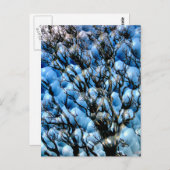 BÄUME POSTKARTE (Vorne/Hinten)