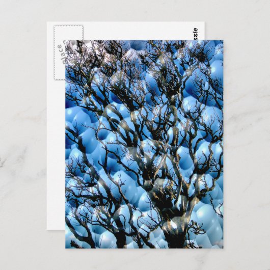 BÄUME POSTKARTE (Vorne/Hinten)