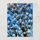 BÄUME POSTKARTE (Vorderseite)