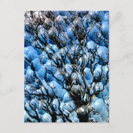 BÄUME POSTKARTE (Vorderseite)