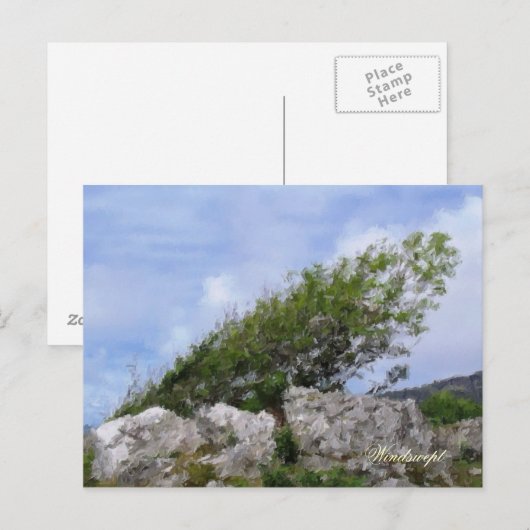 BÄUME POSTKARTE (Vorne/Hinten)