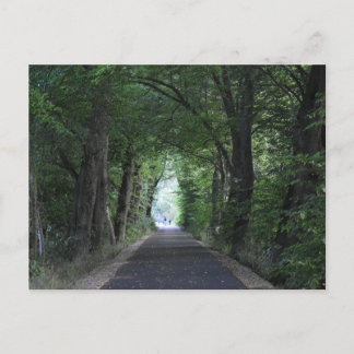 Bäume Postkarte