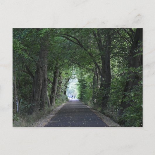 Bäume Postkarte (Vorderseite)