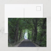 Bäume Postkarte (Vorne/Hinten)