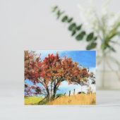 BÄUME POSTKARTE (Stehend Vorderseite)