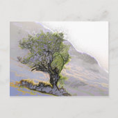 BÄUME POSTKARTE (Vorderseite)