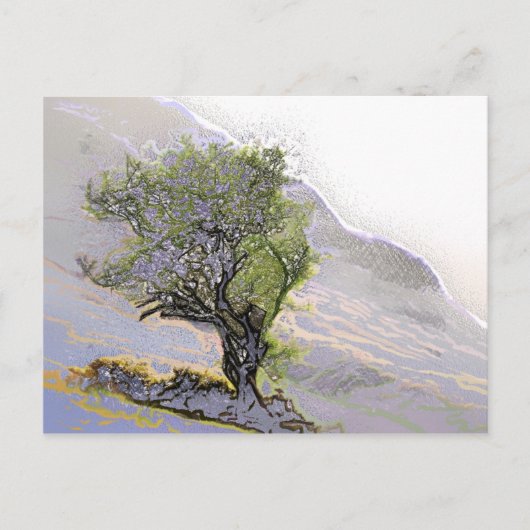 BÄUME POSTKARTE (Vorderseite)