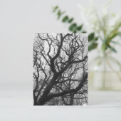 Bäume Postkarte (Stehend Vorderseite)