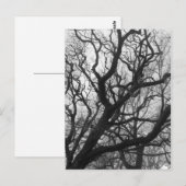 Bäume Postkarte (Vorne/Hinten)