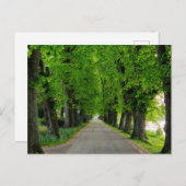 Bäume Postkarte (Vorne/Hinten)