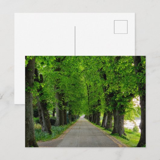 Bäume Postkarte (Vorne/Hinten)