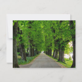 Bäume Postkarte